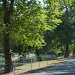 OTRA2014_1687 (September 06, 2014)